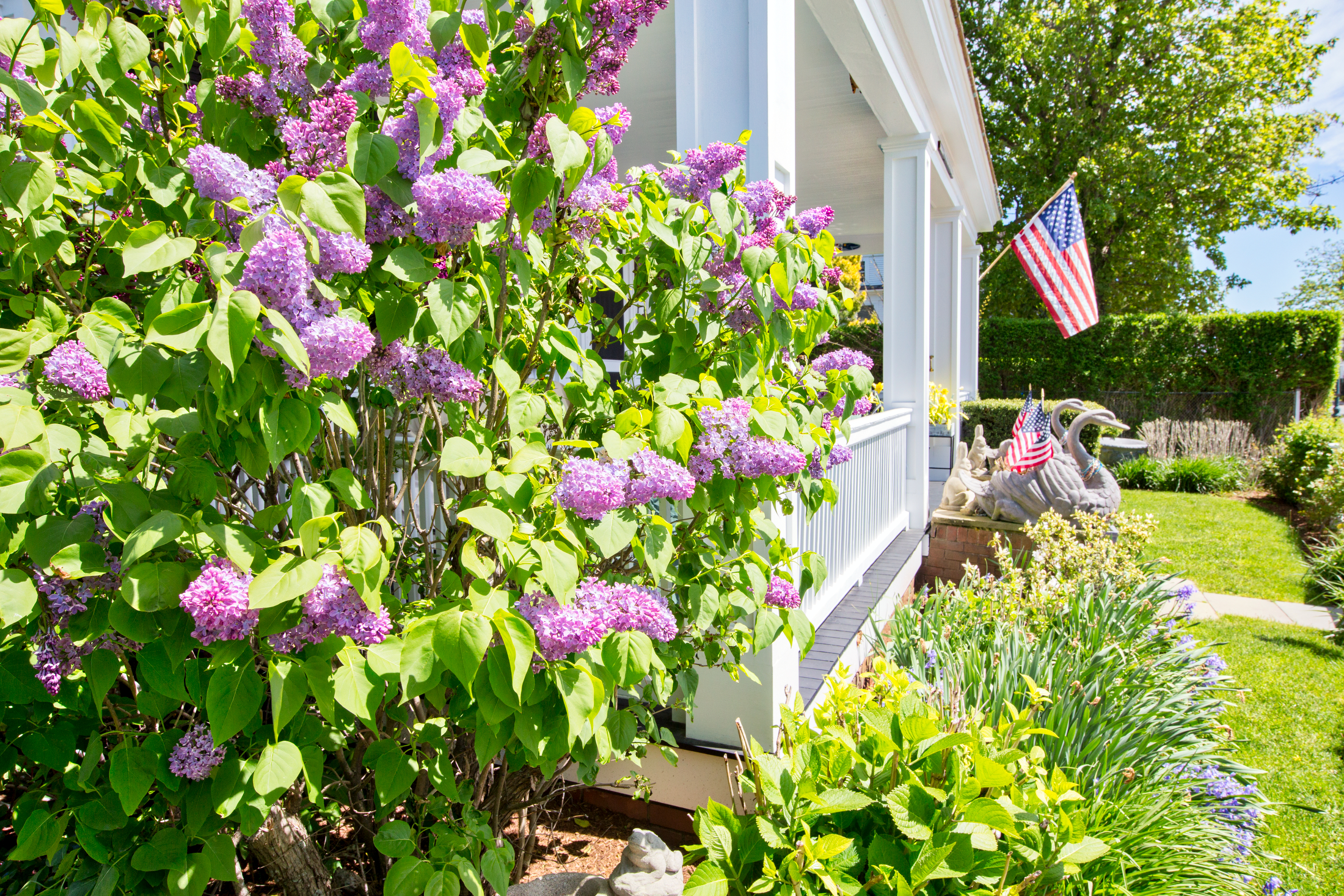 100 North Water Street Garden